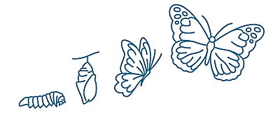 Symbolbild: von der Raupe zum Schmetterling
